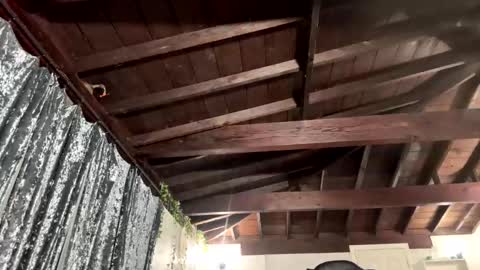 Snapshot of rp30 chatting on 19, 1, 2026 Richhancocc online show from 19, 1, 2026