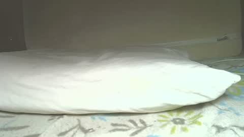 rudisuzzy 1 online show from 4, 4, 2026