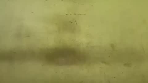 Rupali online show from 17, 12, 2025