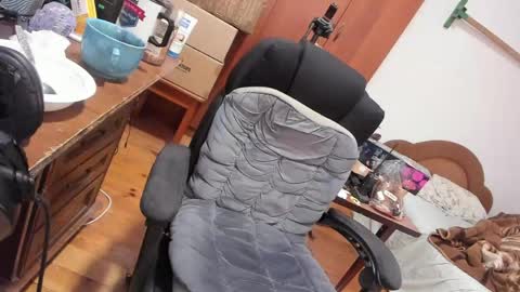 1141323  my Lord Mister Max   moms treasure online show from 6, 4, 2026