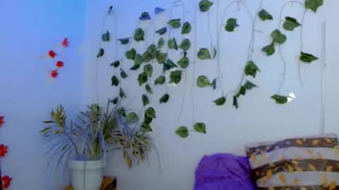 SABRI online show from 22, 2, 2026