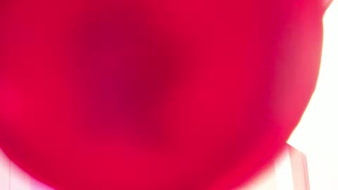 Snapshot of sabrinawarren chatting on 27, 2, 2025 Sabrina Warren online show from 27, 2, 2025