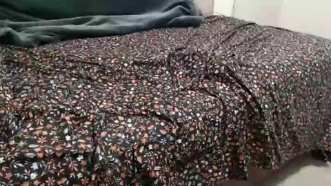 dadbod online show from 15, 12, 2024