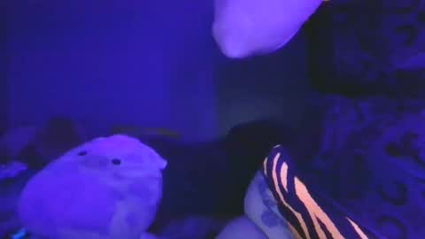 saddybaddie online show from 13, 3, 2026