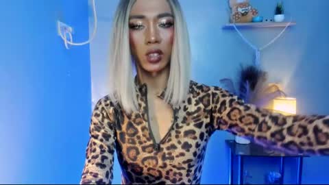 sahayafox online show from 29, 4, 2026