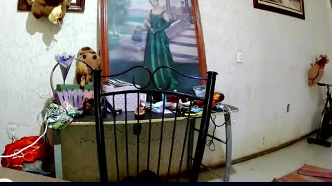 ruby  chocoholic cakeholic coffeeholic cookieholic online show from 2, 10, 2025