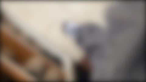 Snapshot of salgemma chatting on 2, 3, 2026 salgemma online show from 2, 3, 2026