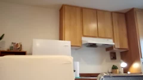 salis1981 online show from 2, 3, 2025