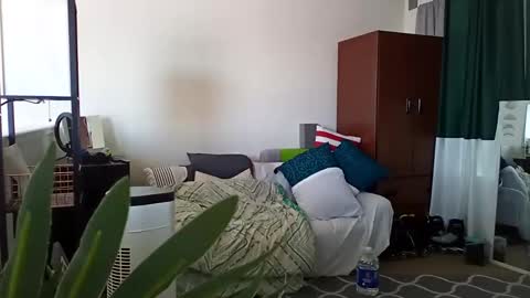 salis1981 online show from 11, 3, 2025