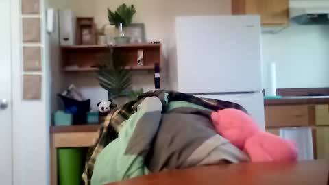 salis1981 online show from 16, 10, 2025