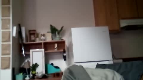 salis1981 online show from 12, 11, 2025