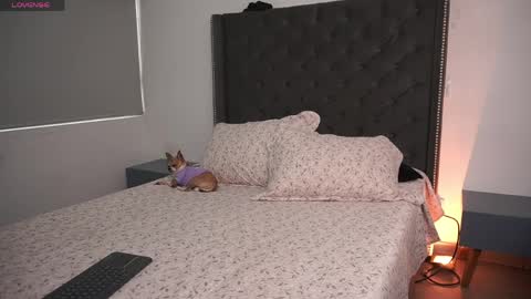 salomedyla online show from 16, 4, 2026