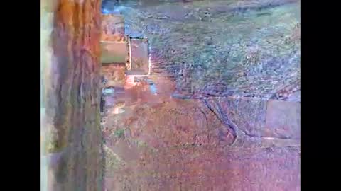 sam5554401727 online show from 26, 4, 2026