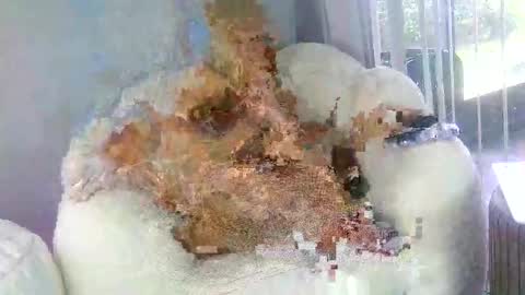 Snapshot of samathajamesxo chatting on 31, 3, 2026 Samatha James online show from 31, 3, 2026