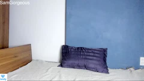 Snapshot of samgorgeous chatting on 3, 12, 2024 Fansly - Top4fans online show from 3, 12, 2024