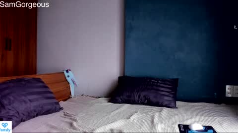 Snapshot of samgorgeous chatting on 9, 12, 2024 Fansly - Top4fans online show from 9, 12, 2024