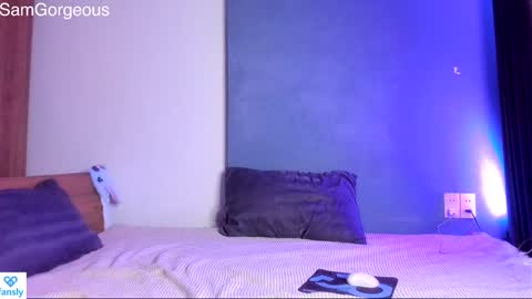 Snapshot of samgorgeous chatting on 14, 12, 2024 Fansly - Top4fans online show from 14, 12, 2024