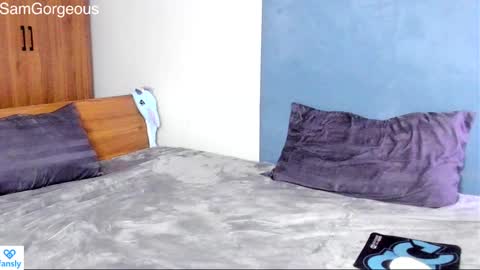 Snapshot of samgorgeous chatting on 17, 12, 2024 Fansly - Top4fans online show from 17, 12, 2024