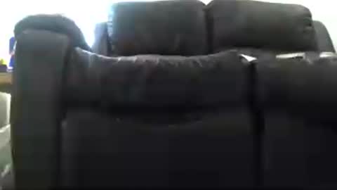 samiam381653 online show from 2, 4, 2026