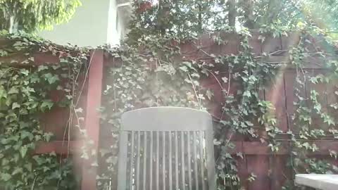 Snapshot of sammieplays chatting on 17, 5, 2026 Playful Sammie online show from 17, 5, 2026