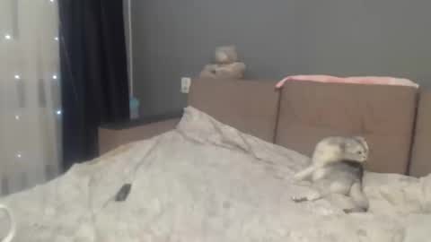 Snapshot of sandra_smith3007 chatting on 6, 2, 2026 sandra_smith3007 online show from 6, 2, 2026