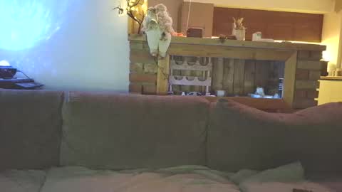 Snapshot of sanroom chatting on 2, 12, 2025 sanroom online show from 2, 12, 2025