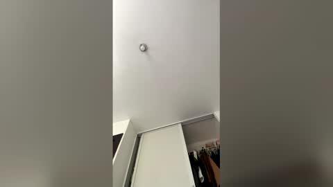 The toy online show from 26, 3, 2026