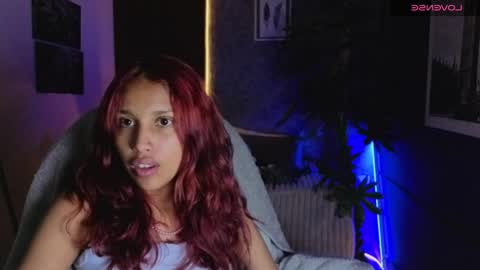 saphi online show from 2, 4, 2026