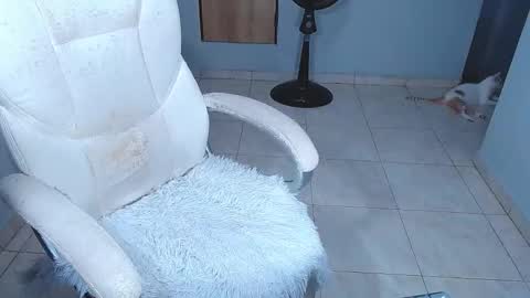 Snapshot of sara_y_rauw chatting on 15, 2, 2026 Sara online show from 15, 2, 2026