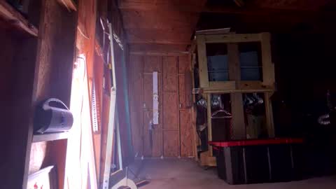 Sarrah Sweet online show from 8, 3, 2026