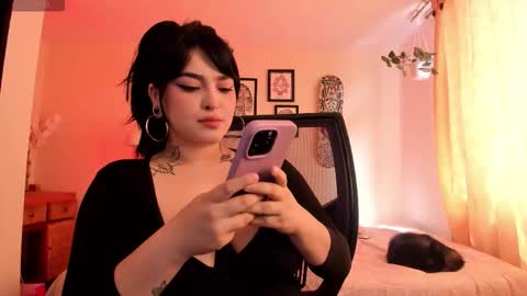   online show from 12, 2, 2026