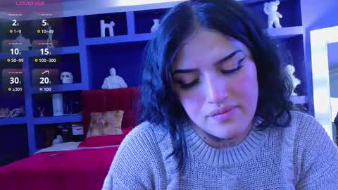 Sari  online show from 11, 11, 2025