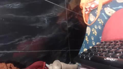 sasha online show from 2, 2, 2026