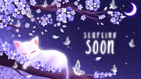 Sassy Sami Kittyn online show from 22, 9, 2025