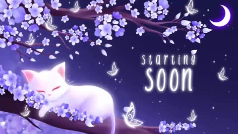 Sassy Sami Kittyn online show from 4, 11, 2025