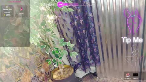 Snapshot of sassylatin45 chatting on 12, 1, 2025 sassylatin45 online show from 12, 1, 2025