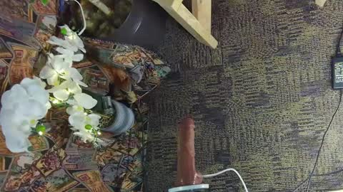 Snapshot of sassylatin45 chatting on 2, 3, 2025 sassylatin45 online show from 2, 3, 2025