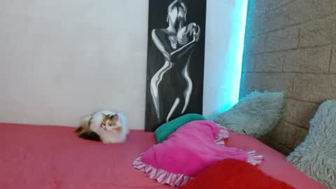 Snapshot of sativa_29 chatting on 13, 12, 2024 Sativa online show from 13, 12, 2024