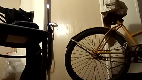 Snapshot of saucybear666 chatting on 2, 1, 2025 SnowBunny online show from 2, 1, 2025