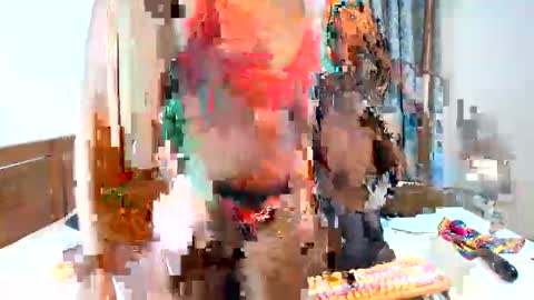 Snapshot of savage_tounge chatting on 4, 12, 2024 Candy and Lexxy online show from 4, 12, 2024