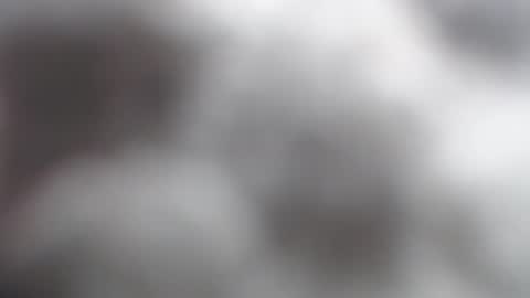 savagebarbie01 online show from 2, 11, 2025