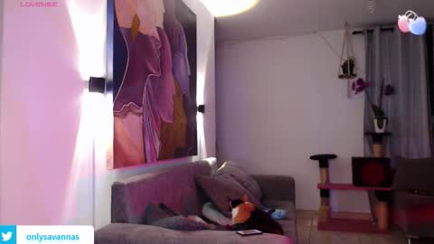 Savannaredhair 33 Angelebony33 online show from 10, 9, 2025