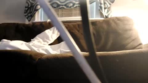 Snapshot of sayhi2mylilguy chatting on 27, 2, 2025 sayhi2mylilguy online show from 27, 2, 2025