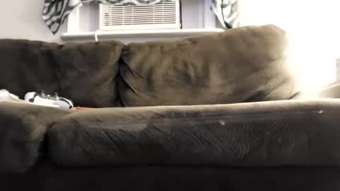 Snapshot of sayhi2mylilguy chatting on 1, 3, 2025 sayhi2mylilguy online show from 1, 3, 2025