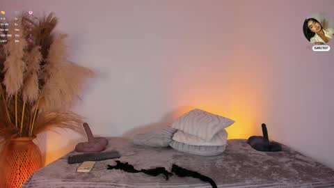 Snapshot of scarlett_keitt chatting on 6, 6, 2026 scarlet online show from 6, 6, 2026