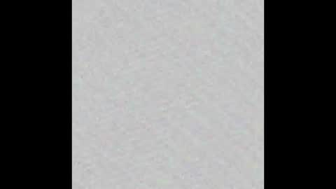 Scolw  online show from 11, 11, 2025