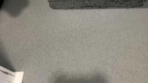 Snapshot of scottyc48 chatting on 5, 10, 2025 scottyc48 online show from 5, 10, 2025