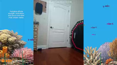 ScrubbyLuv online show from 26, 2, 2026