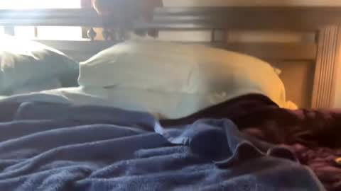 Skylar87 online show from 15, 12, 2024