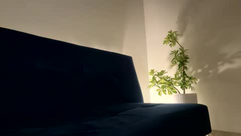 Sean pablo Sanz online show from 4, 4, 2026